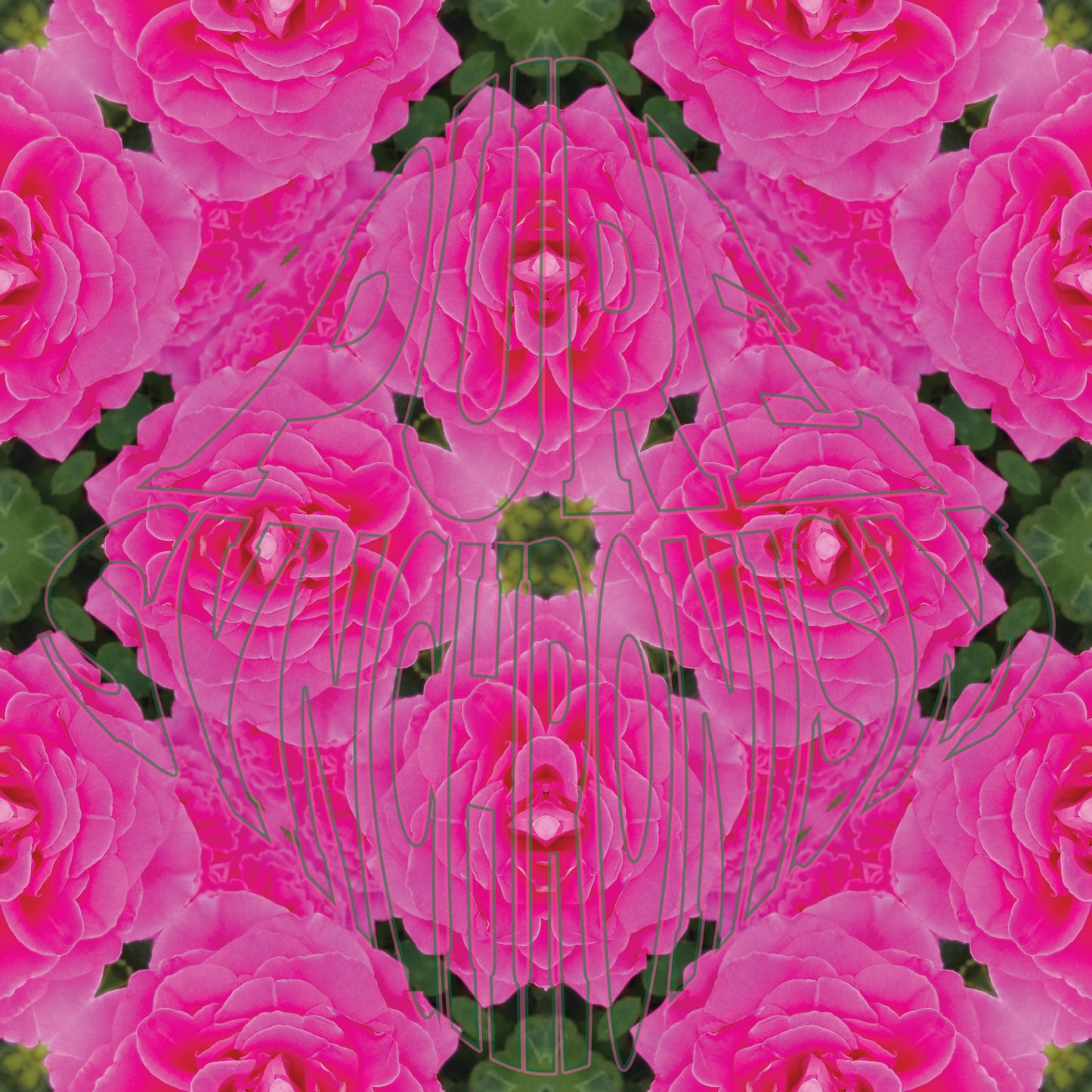 Pink Rose v.1 — Cotton Hoodie