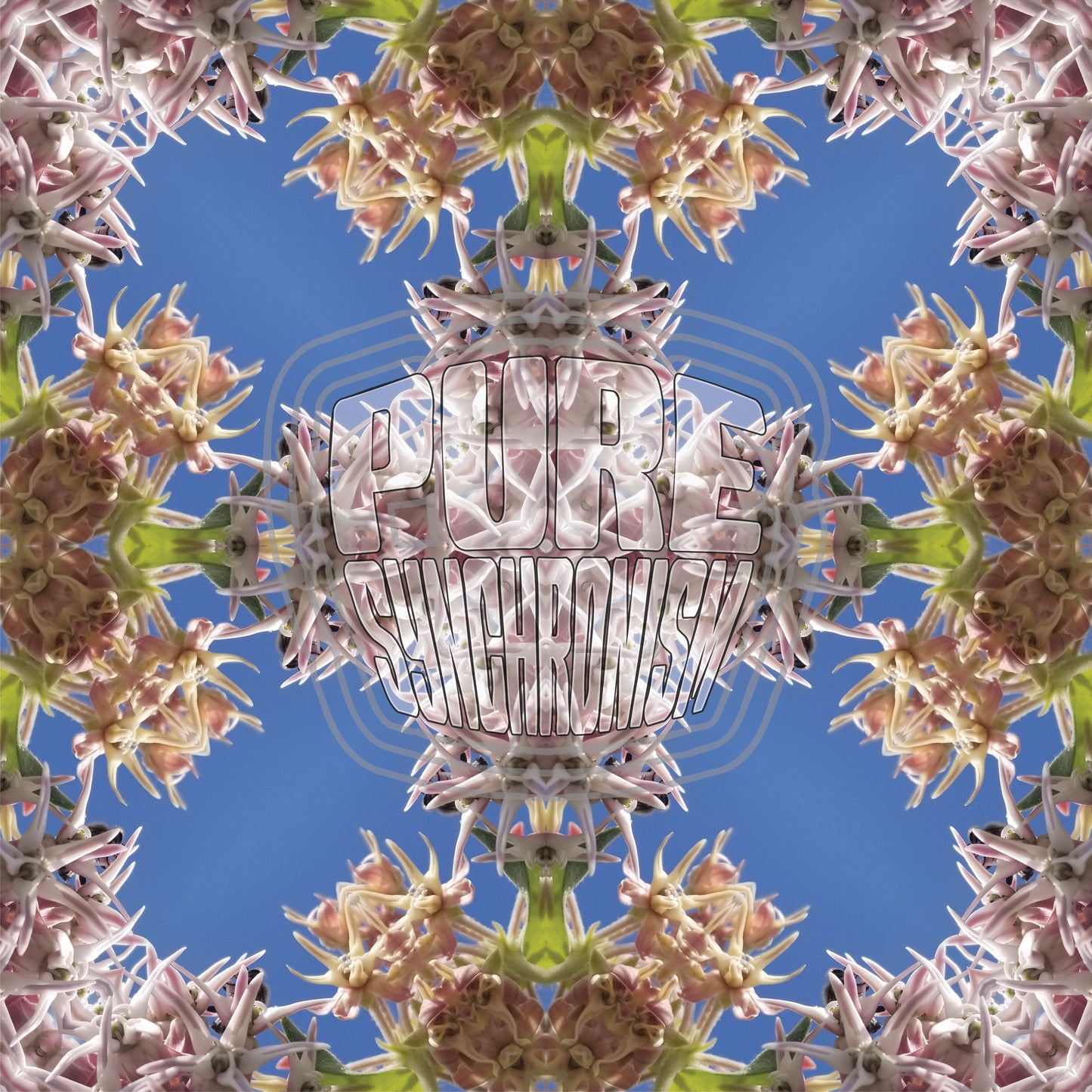 Pink Spiky Plant v.1 — Cotton Hoodie