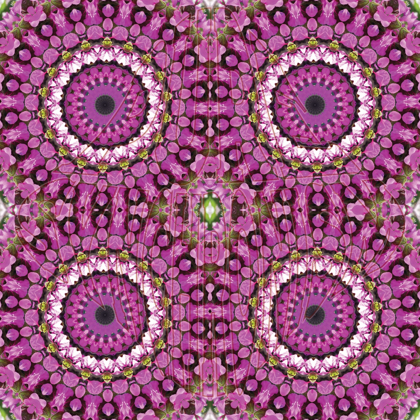 Pink Wildflower With Buds Spiral v.1 — Cotton Hoodie
