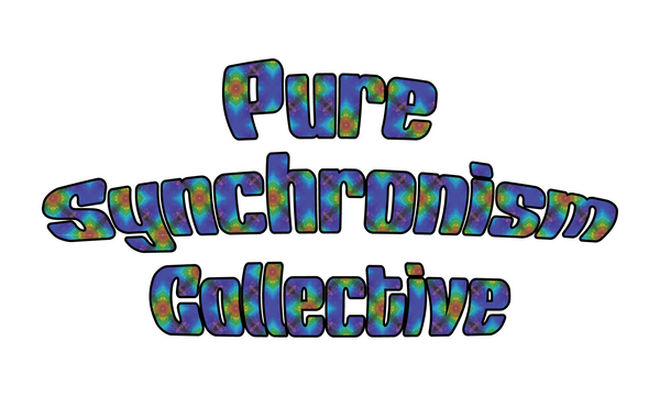 PURE SYNCHRONISM LLC
