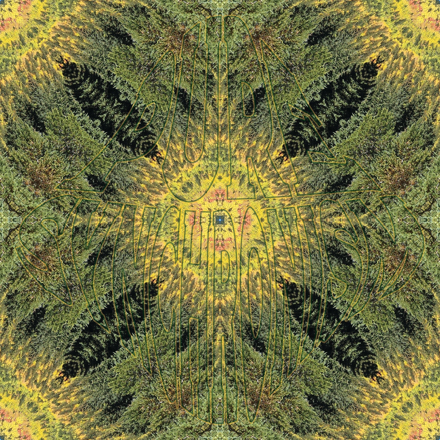 Secret Spot Autumn v.2 — Cotton Hoodie
