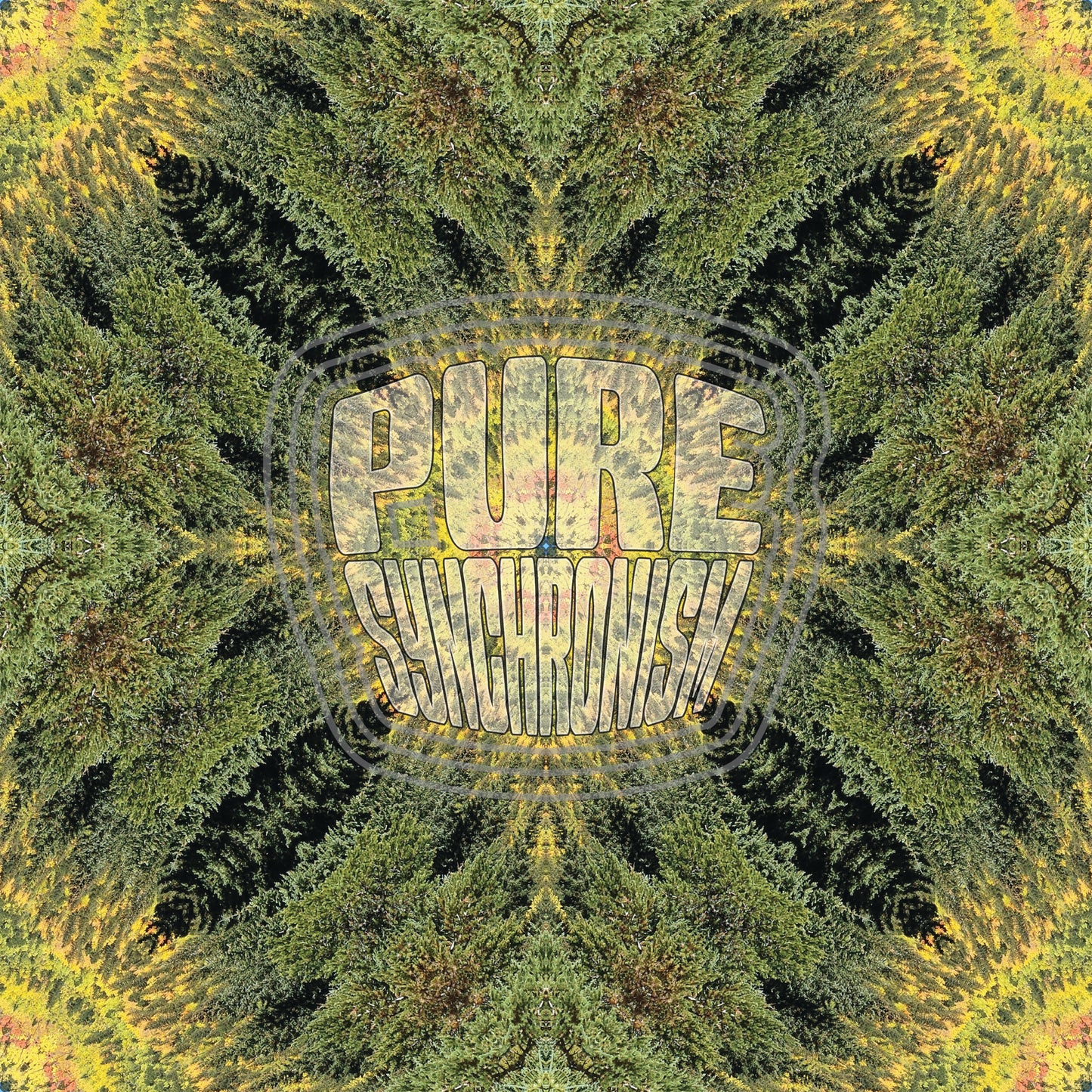 Secret Spot Autumn v.2 — Cotton Hoodie