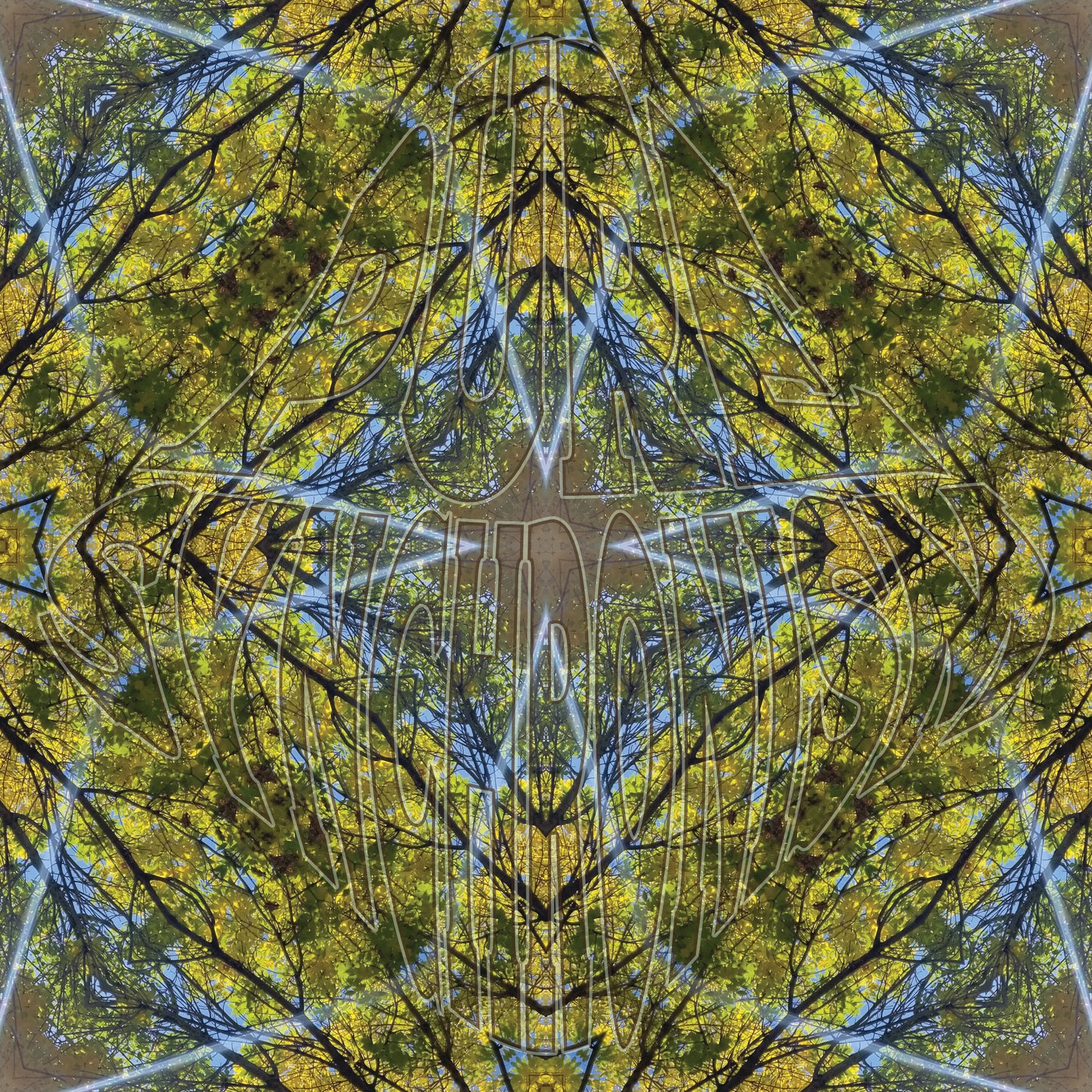 Sunbeams In Yellow Leaves v.1 — Cotton Hoodie