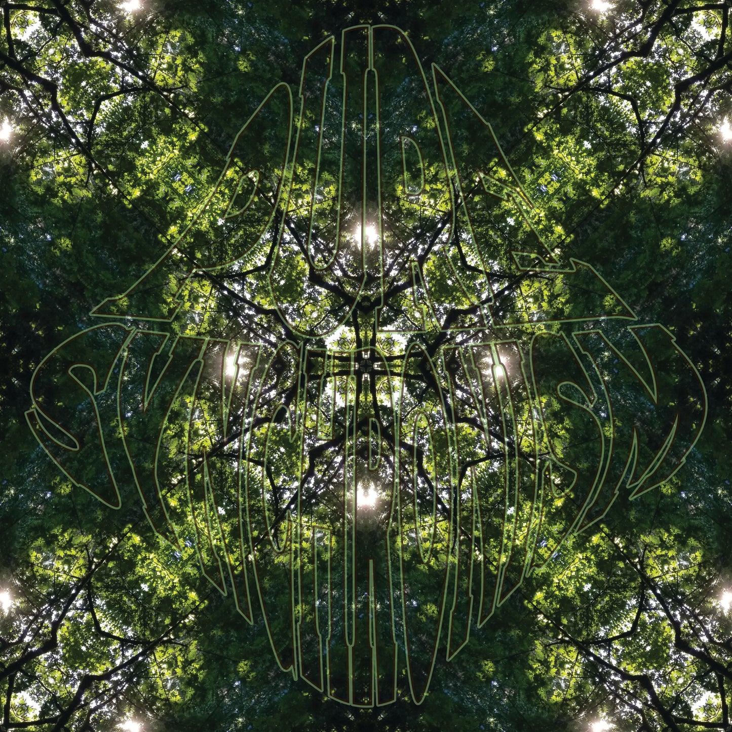 Sunbeam In Trees v.1 — Cotton Hoodie