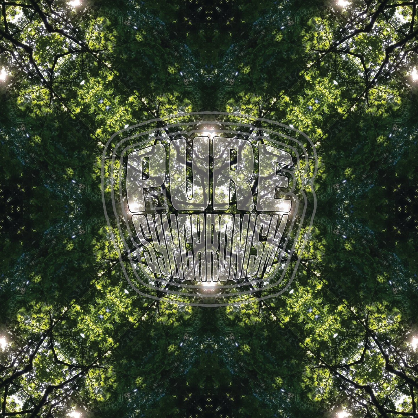 Sunbeam In Trees v.1 — Cotton Hoodie