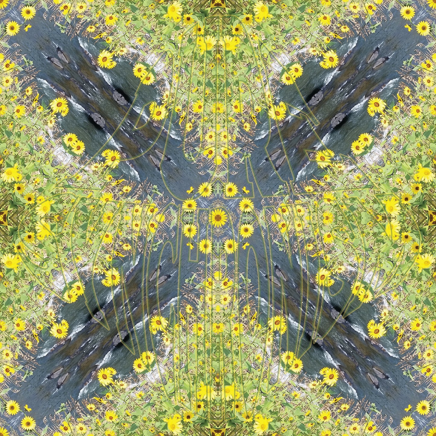 Sunflowers On The Creek v.1 Cotton Hoodie