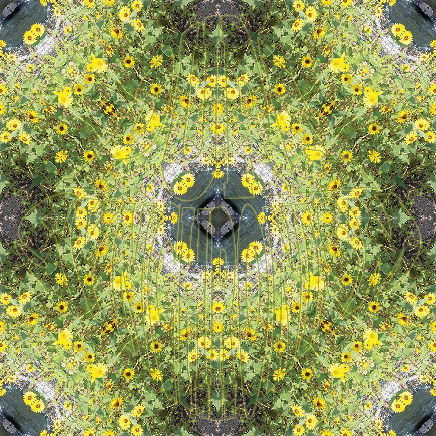 Sunflowers On The Creek v.2 Cotton Hoodie