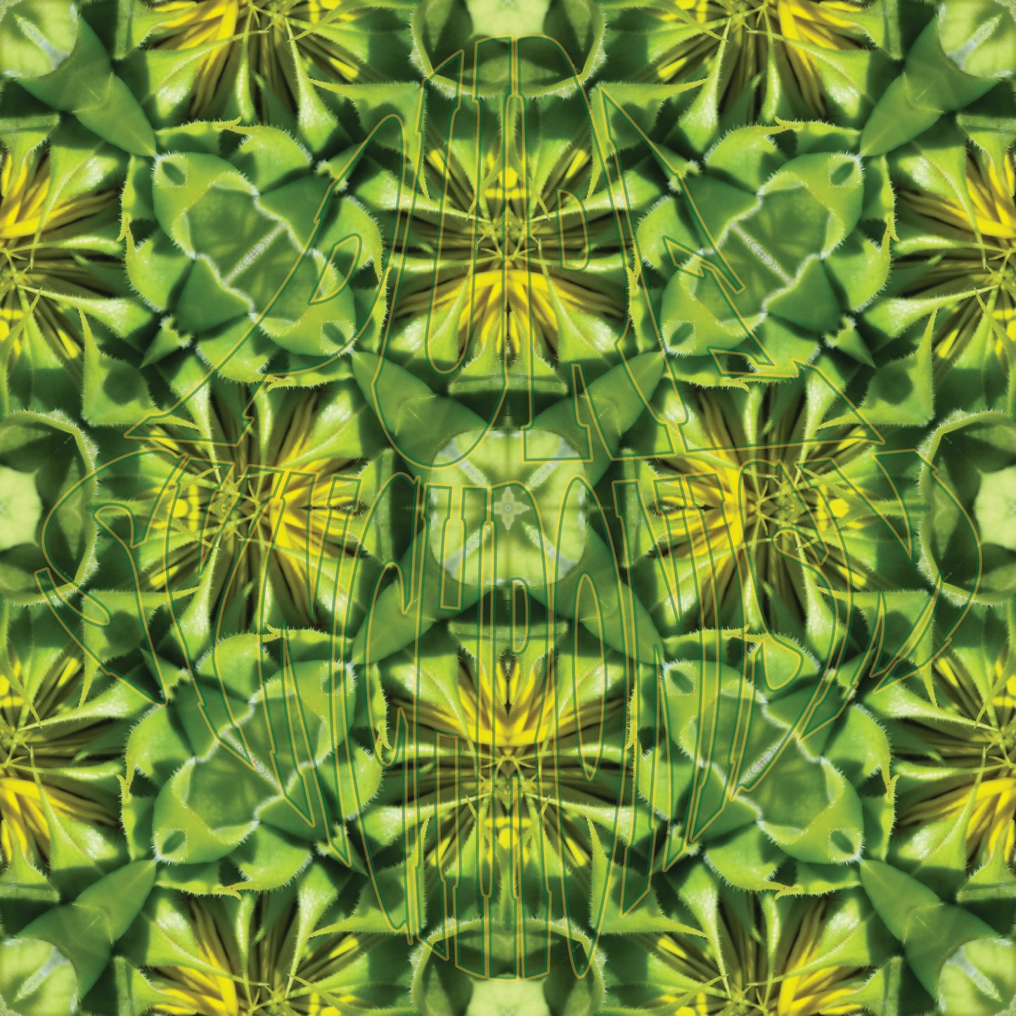 Sunflower About To Bloom v.1 — Cotton Hoodie