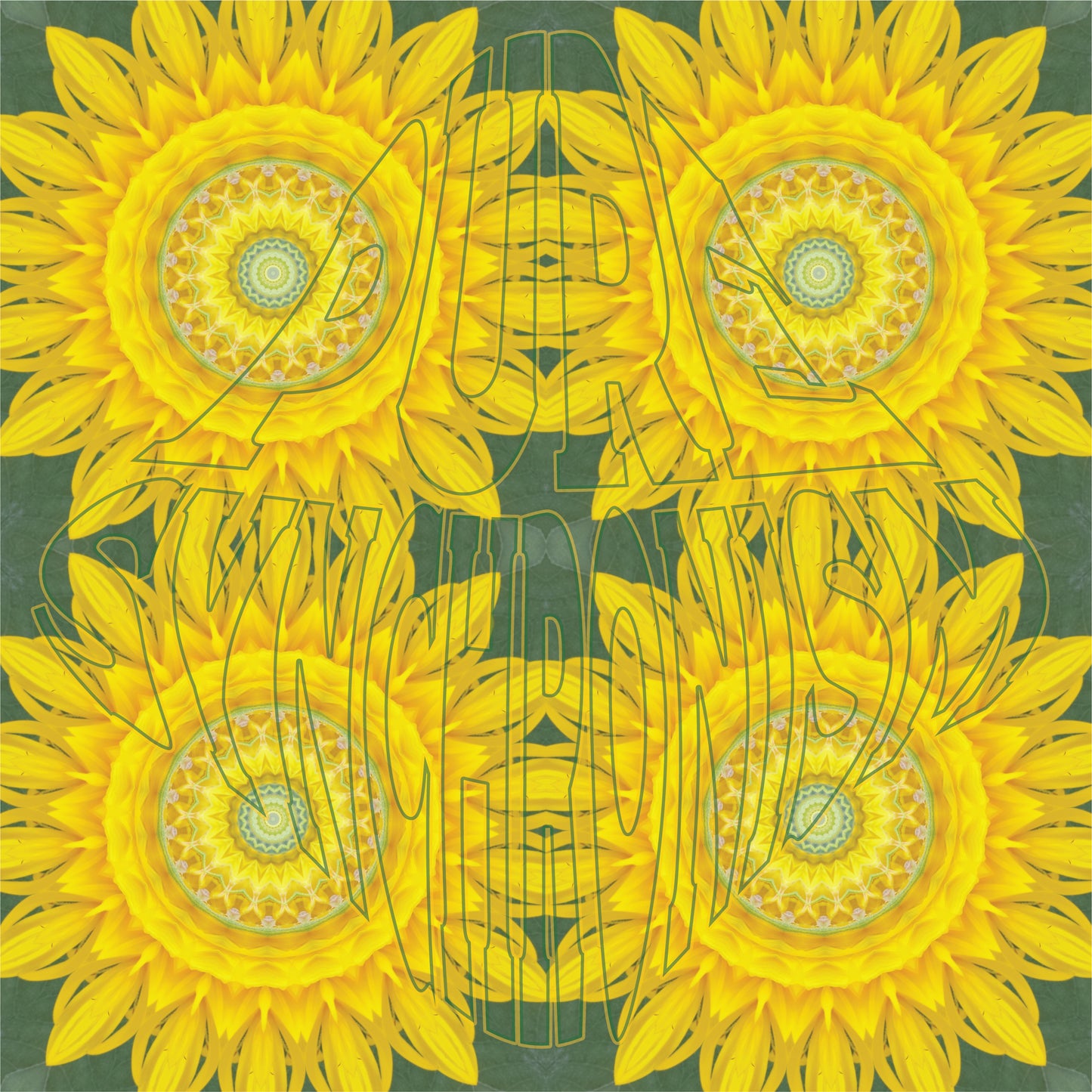 Sunflower Blooming Spiral v.1 Cotton Hoodie