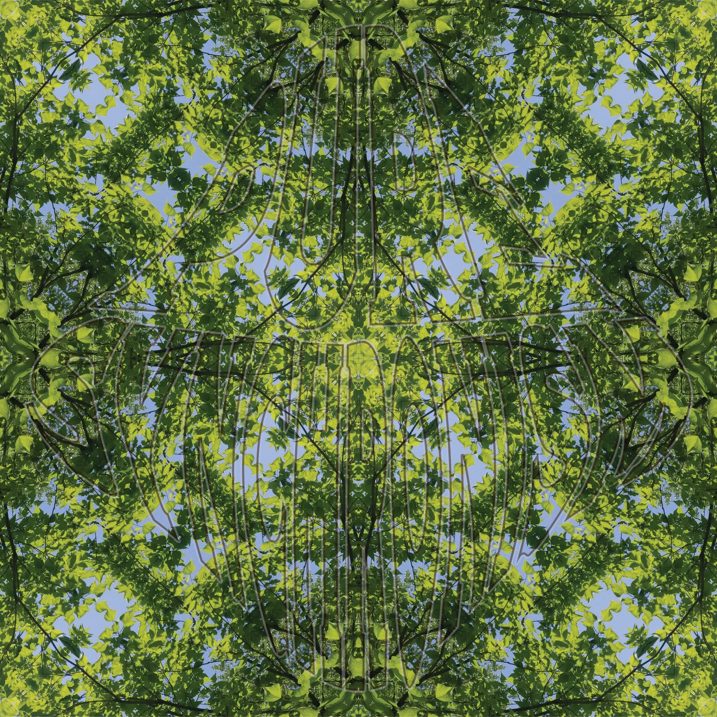 Super Green Leaves v.2 — Cotton Hoodie
