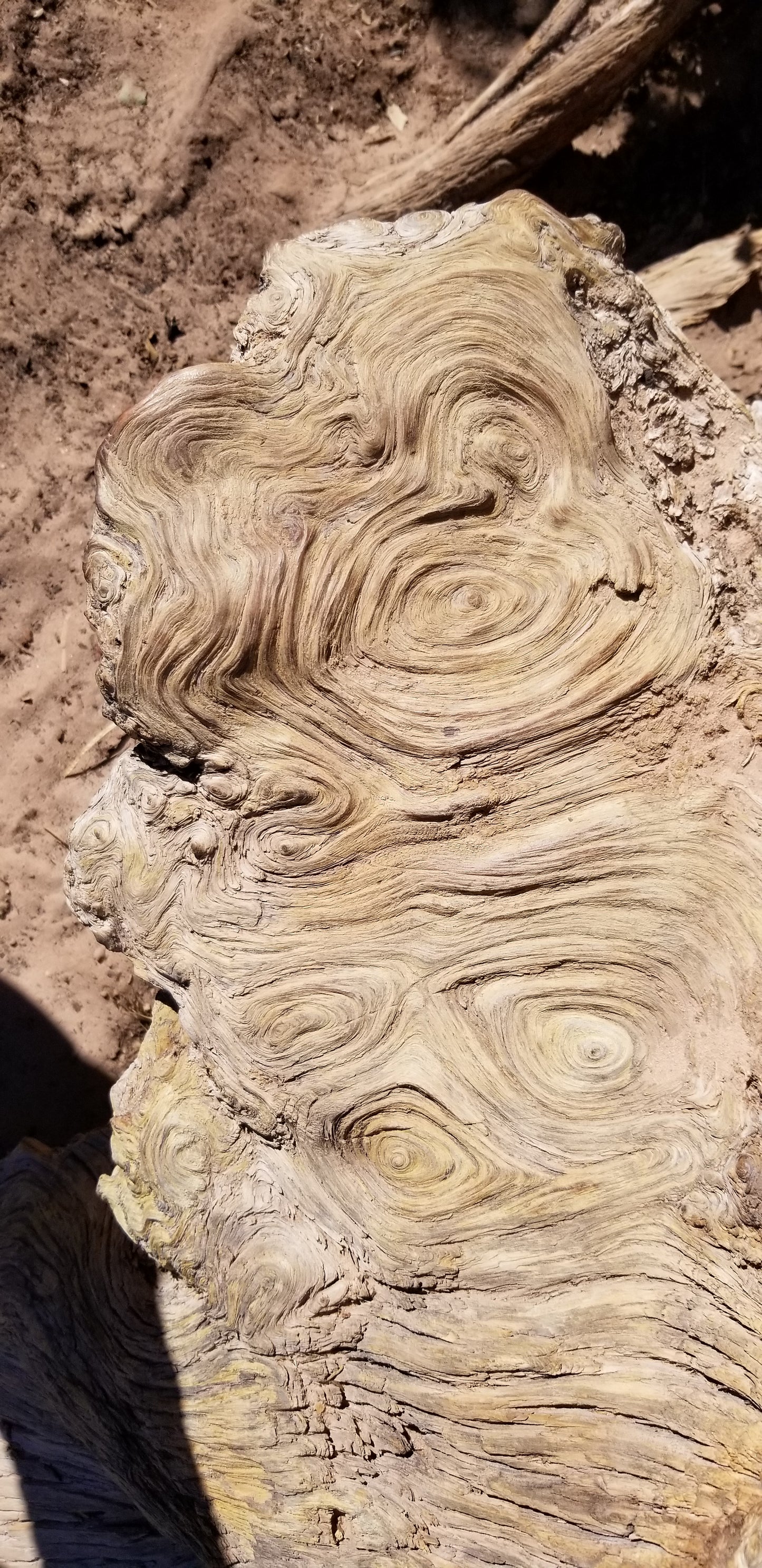 Swirly Burly Wood v.1 — Cotton Hoodie