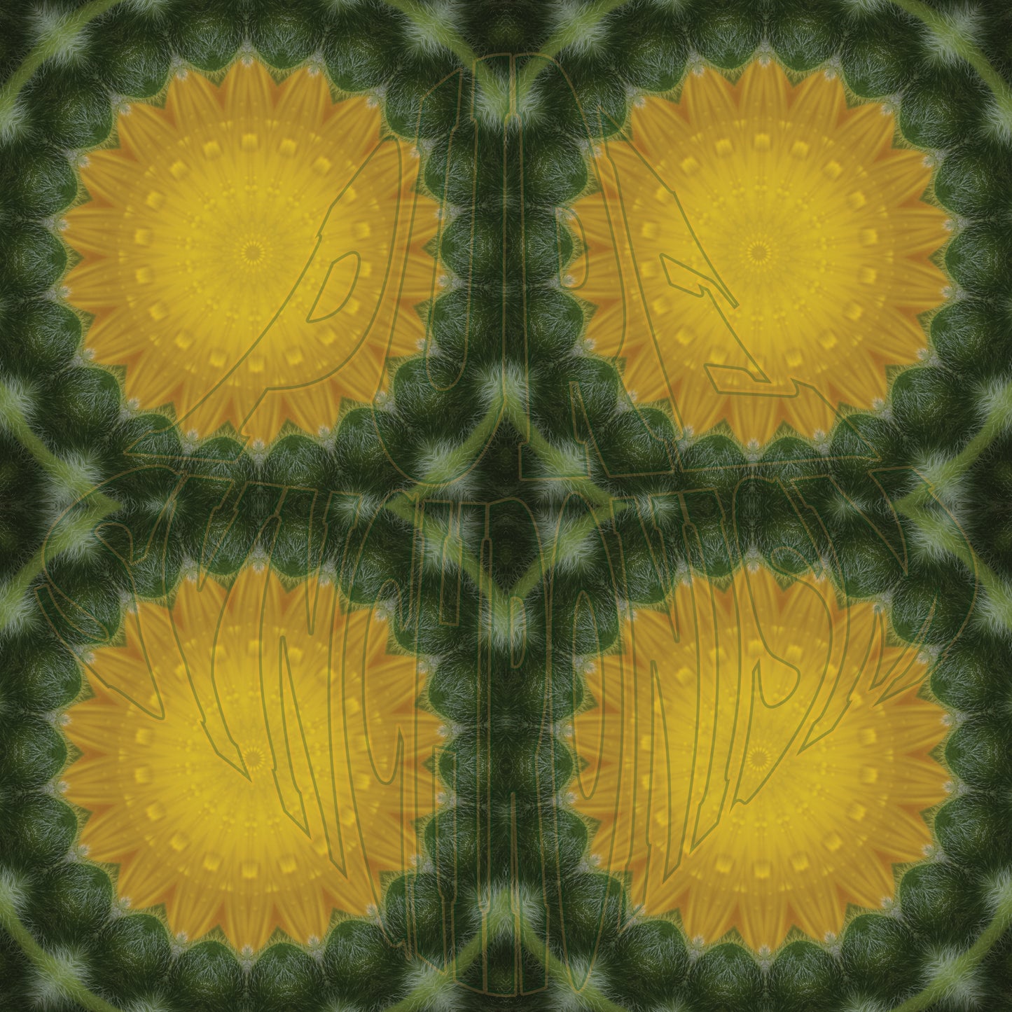 Under A Dewy Sunflower Spiral v.2 Cotton Hoodie