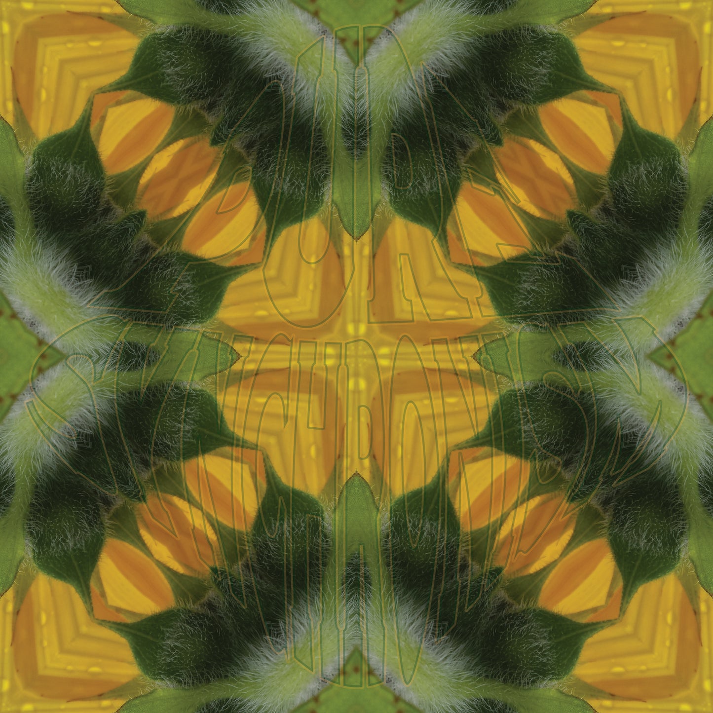 Under A Dewy Sunflower v.1 Cotton Hoodie
