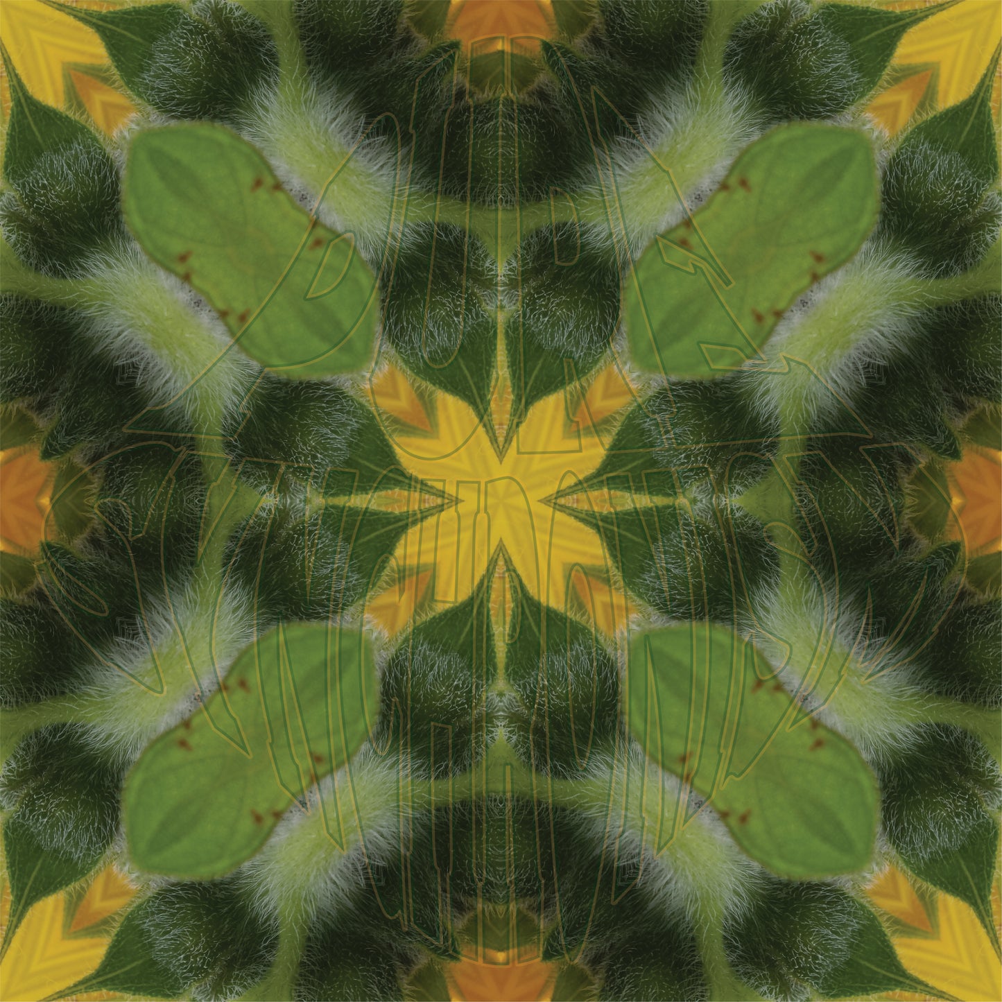 Under A Dewy Sunflower v.2 Cotton Hoodie