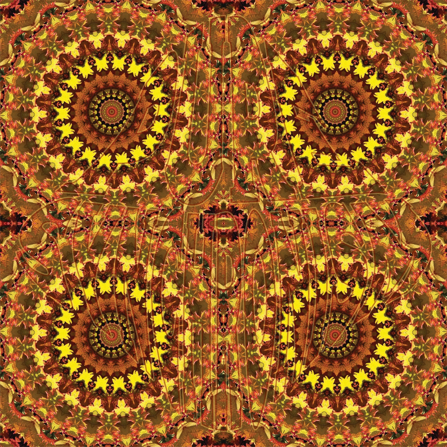 Yellow Leafy Plant Spiral v.1 — Cotton Hoodie